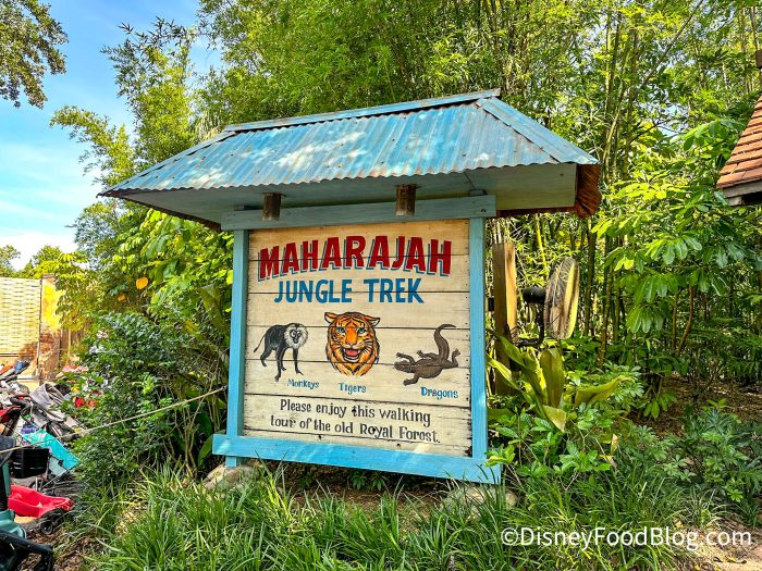 2023-WDW-Animal-Kingdom-Maharajah-Jungle