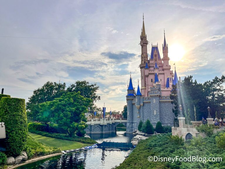 Don’t Forget! You Could Win A Stay In The EXCLUSIVE Cinderella Castle ...