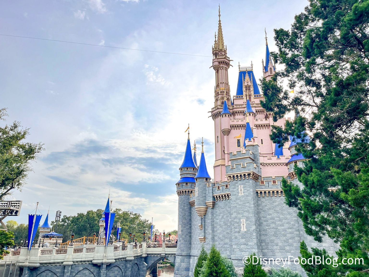 7 Essentials to Recover from a LONG Day in Disney World - Disney by Mark