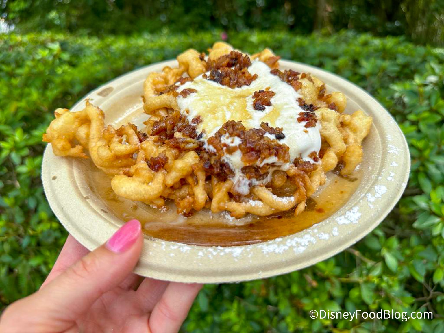 Funnel Cakes 2023 EPCOT Food and Wine Festival the disney food blog