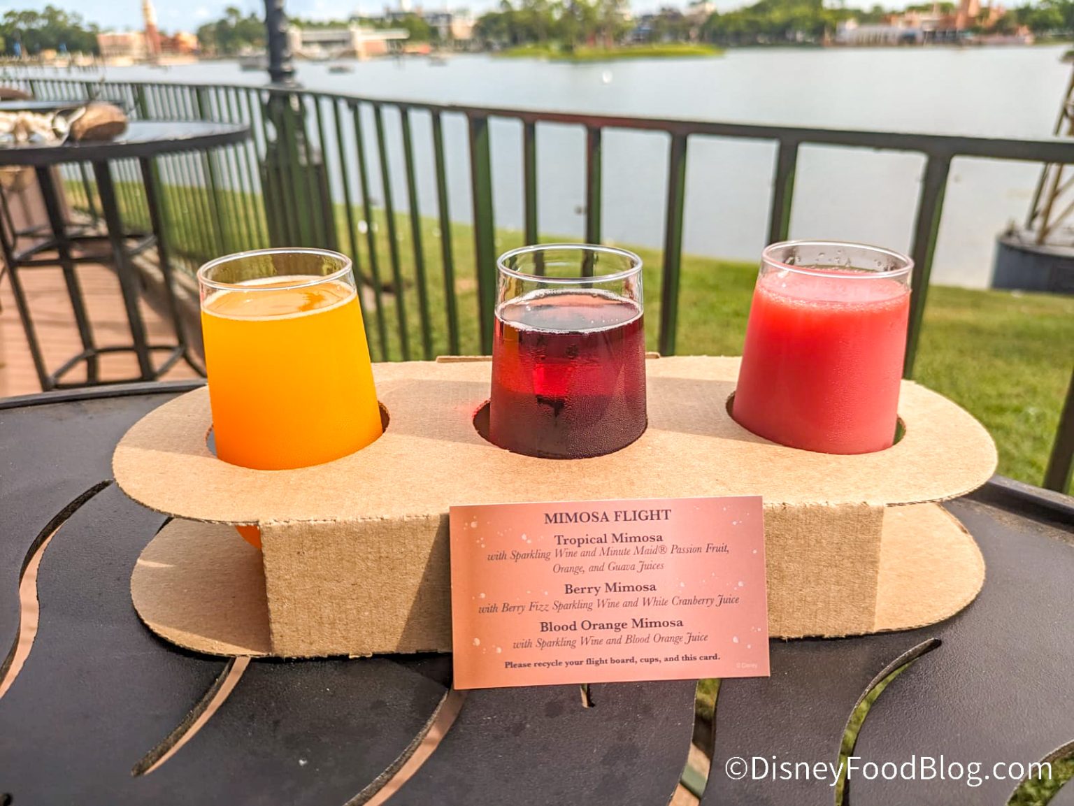 Everything You NEED to Eat and Drink at the 2023 EPCOT Food and Wine