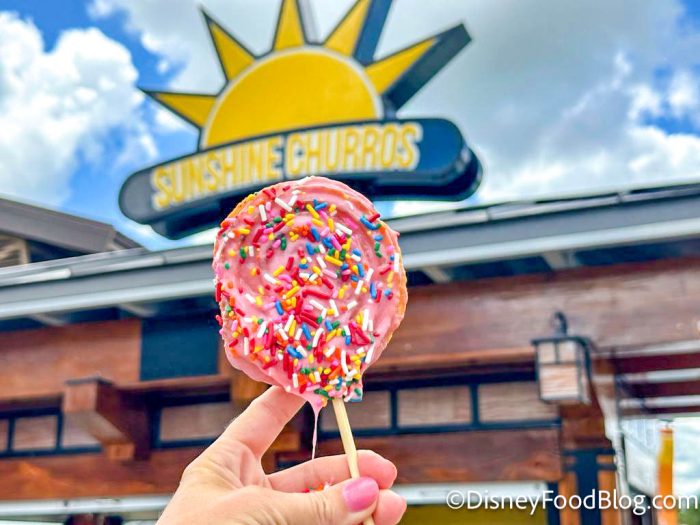 wdw-2023-disney-springs-sunshine-churros