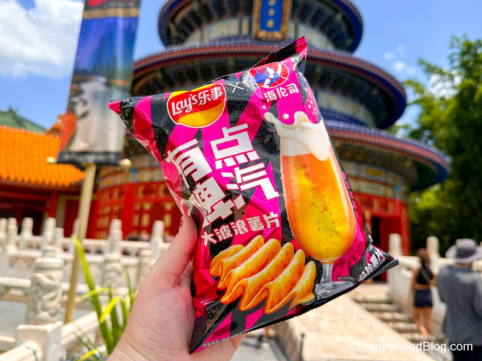 BEER-Flavored Chips Exist in Disney World and They Might SURPRISE You ...