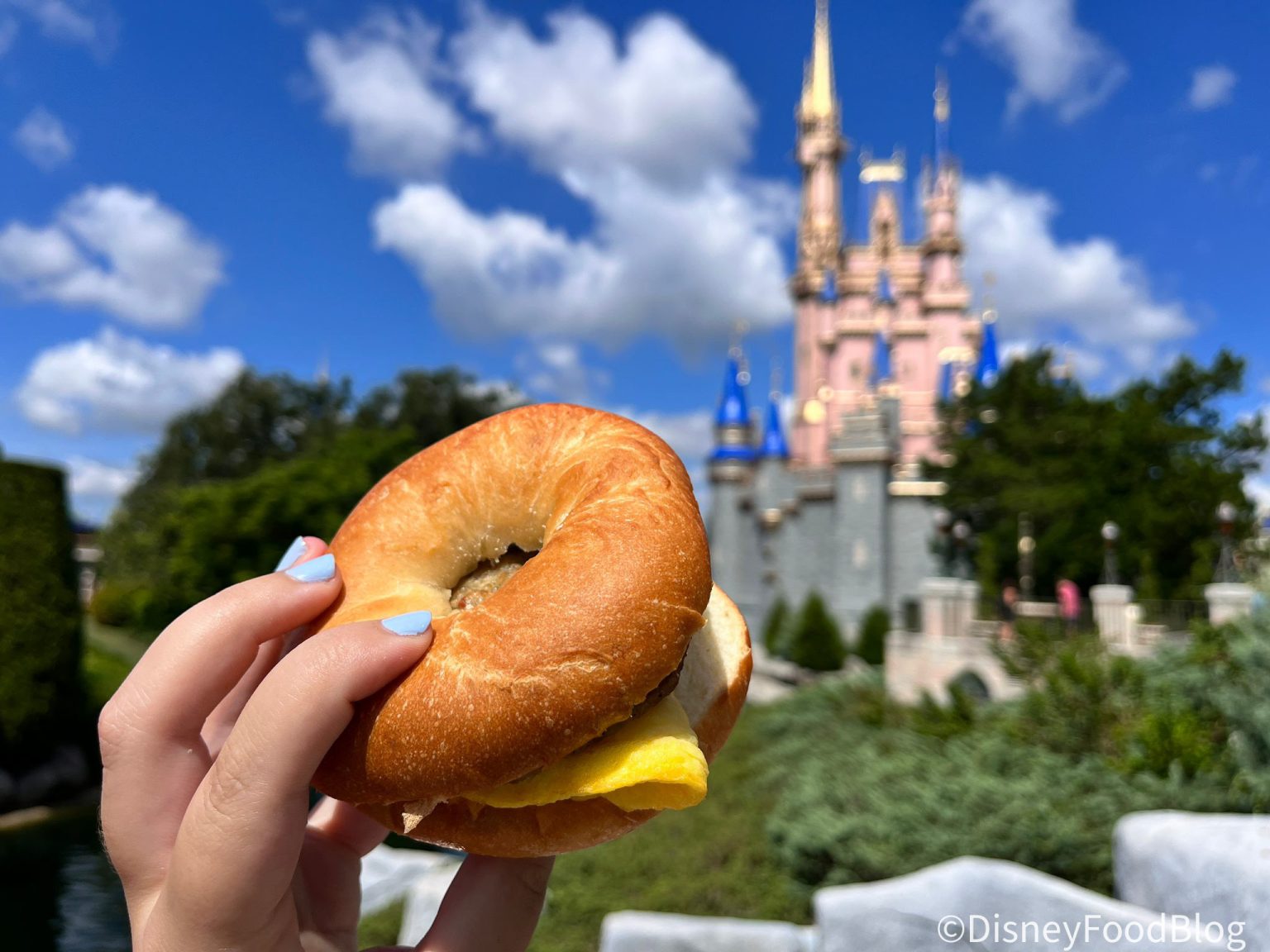 Breakfast Has CHANGED in Magic Kingdom | the disney food blog