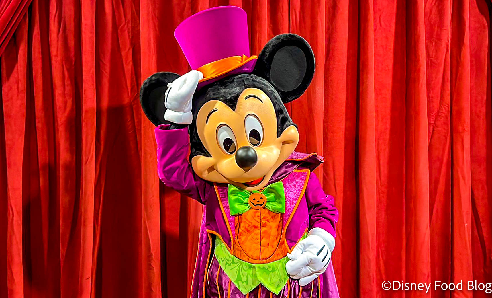 Sorcerer Mickey costume for Halloween!  Mickey costume, Mickey mouse,  Mickey mouse costume