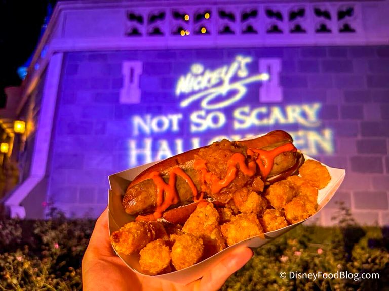 Mickey's NotSoScary Halloween Party in Disney World's Magic Kingdom