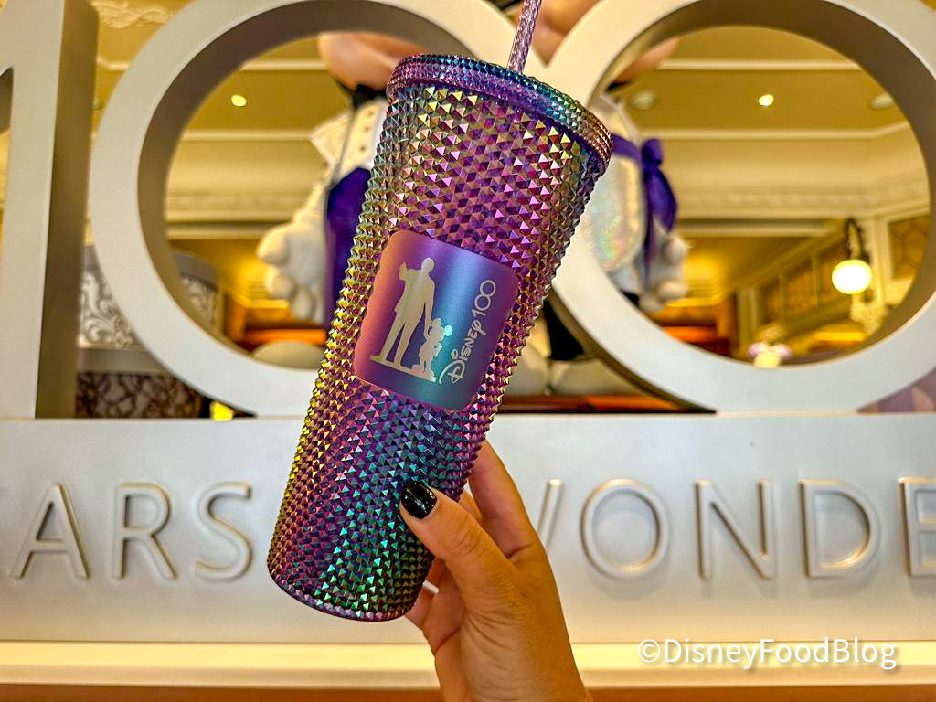 Disney's Animal Kingdom Stainless Steel Starbucks® Tumbler with Straw –  Magical Travels by Amy