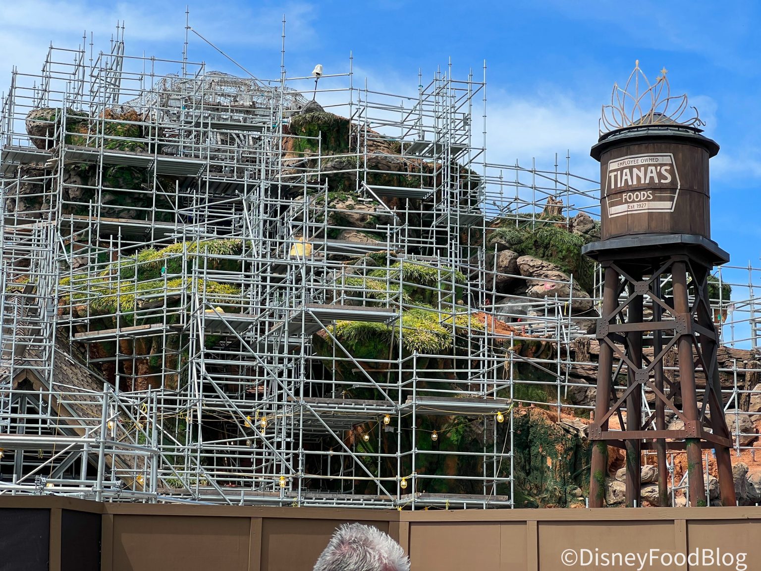 4 Attraction CLOSURES Will Affect Disney World Next Week | The Disney ...