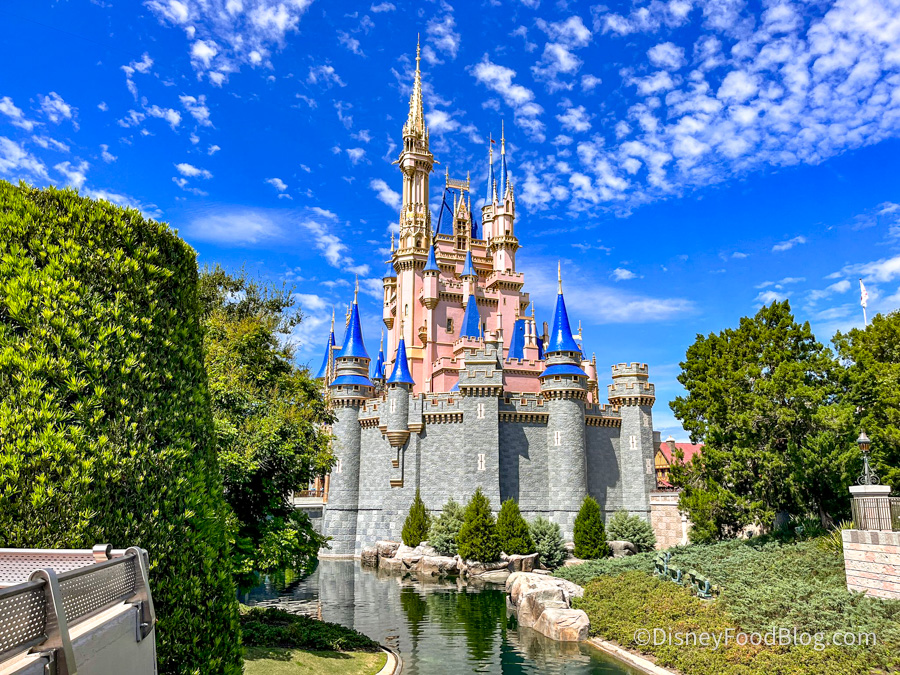 Disney Vacation Planning Series: Picking Your Disney World Parks, Days and  Tickets - Big Bear's Wife
