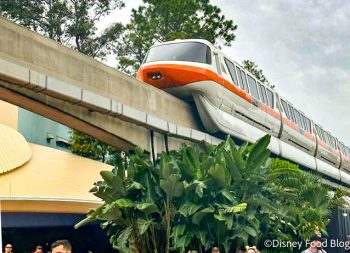 RARE VIDEO: We Watched TWO Disney World Monorails “Race” Each Other ...