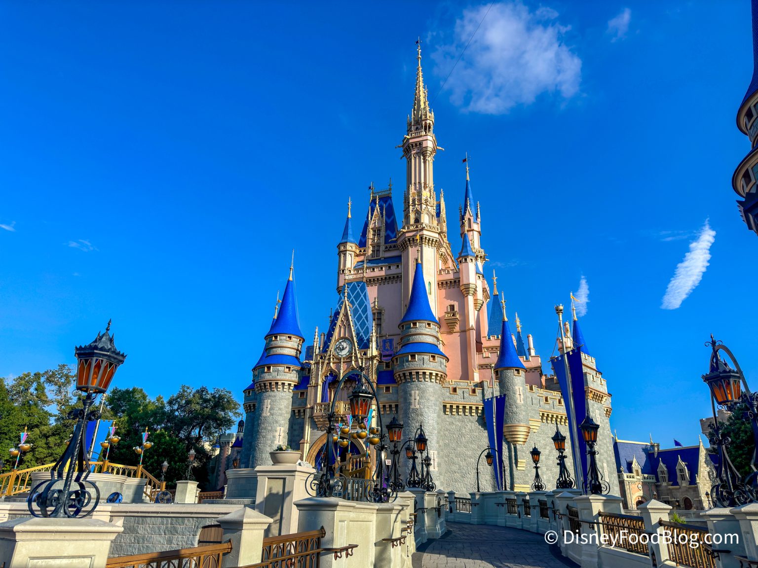 The One Rule We Wish Disney World Would Finally Enforce | the disney ...