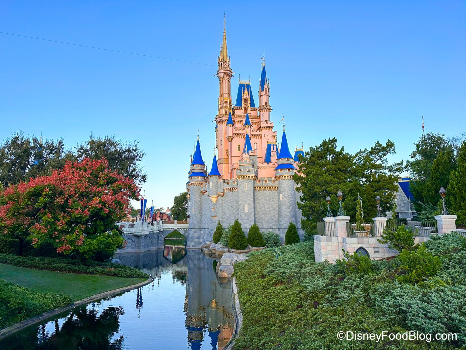 I SKIP Magic Kingdom When I Go to Disney World…Let Me Explain | the ...