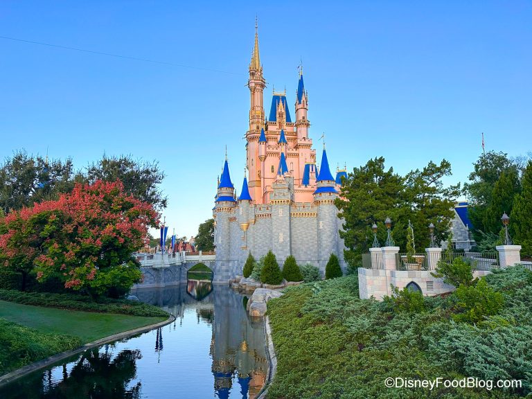 Full List Of Disney World Park Hours For February 2024 | The Disney ...