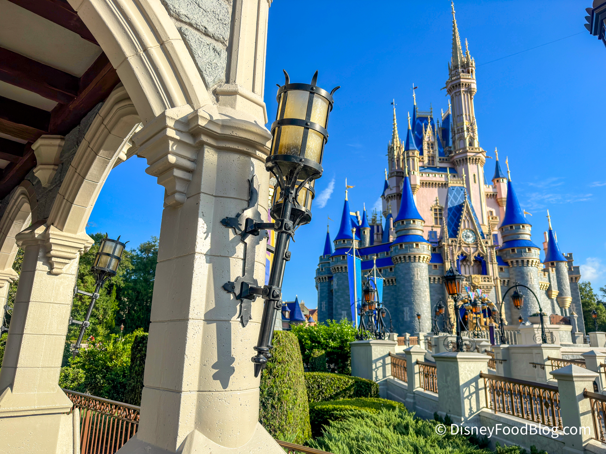 WDW Trip Report—35 Years in the Making! – Disney Insights
