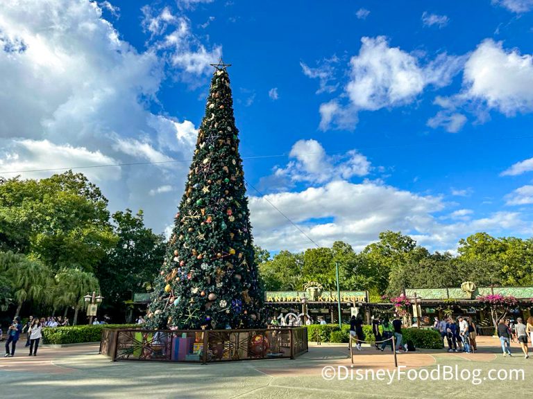 REVIEW Animal Kingdom Finally Got Something NEW For the Holidays