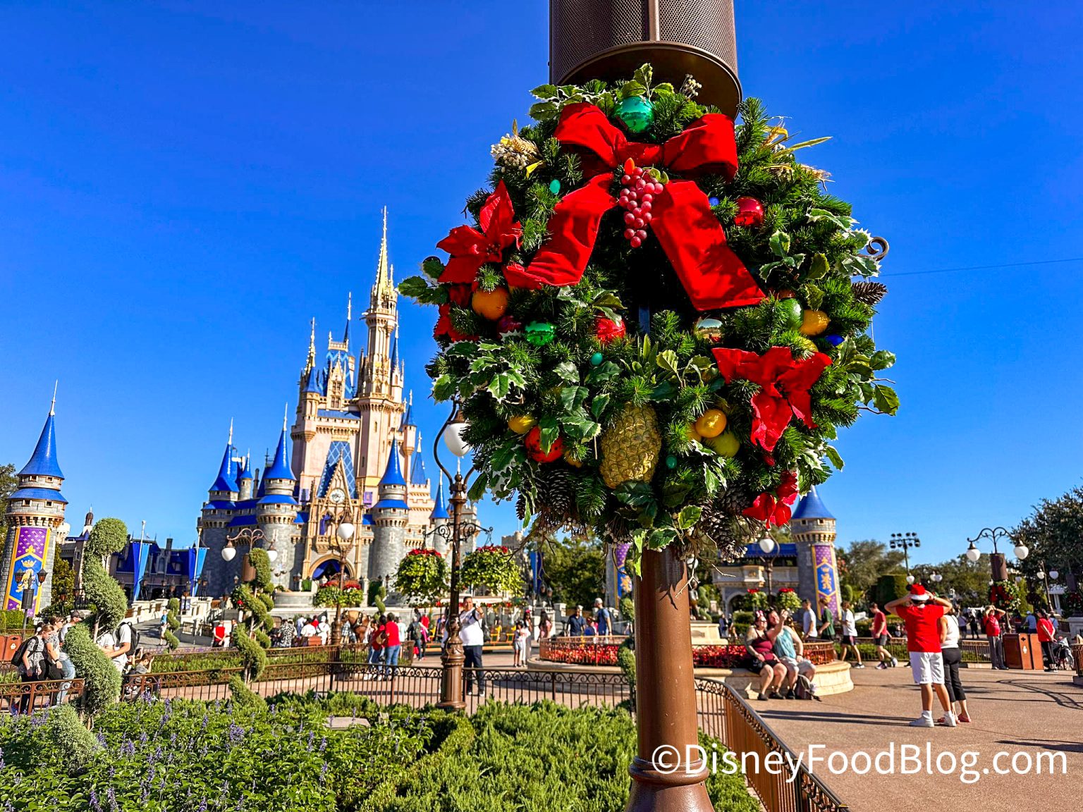 The Magic Kingdom Christmas Overlay We JUST FOUND OUT ABOUT! the