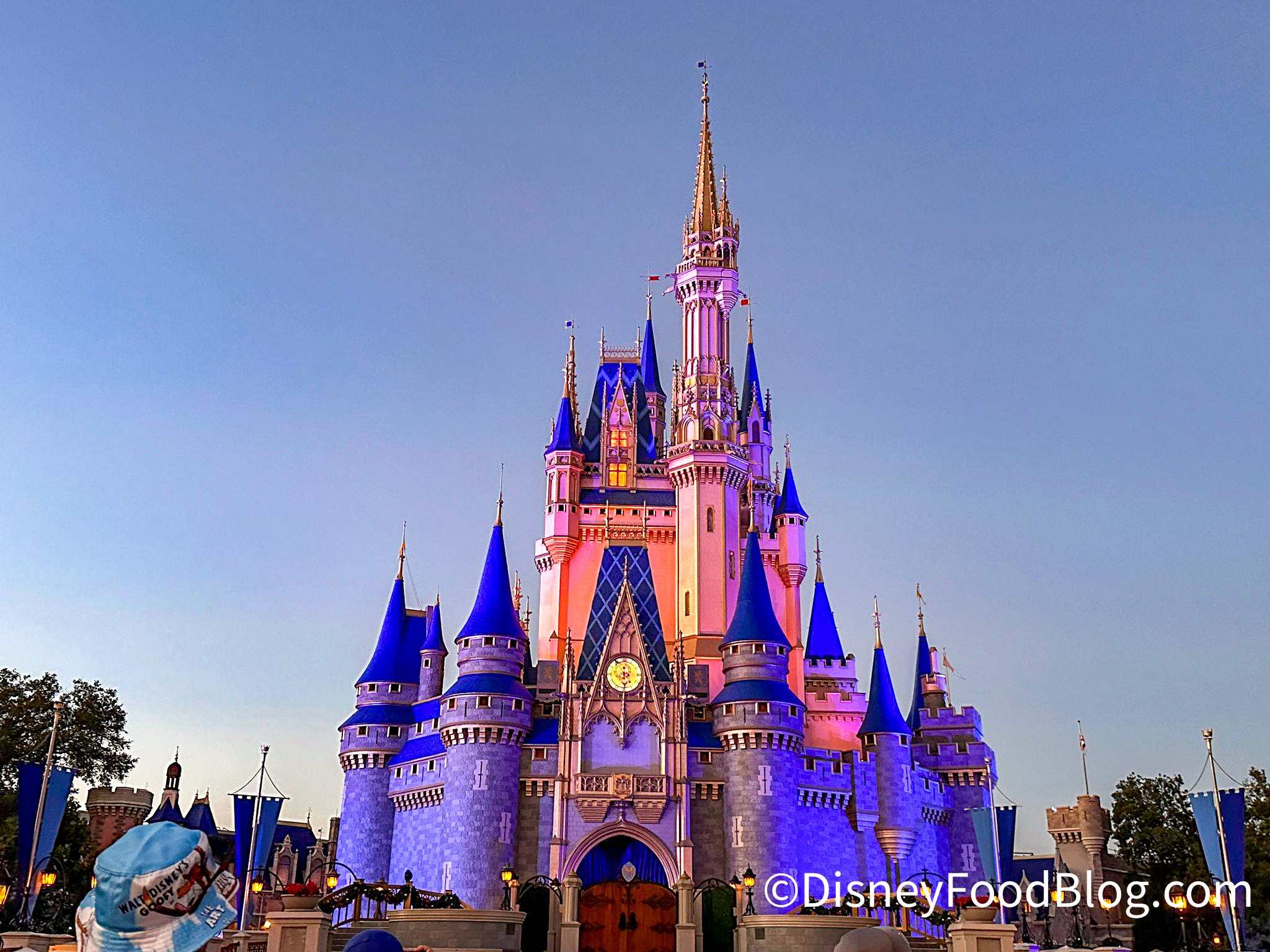 13 Unforgivable Disney World Changes