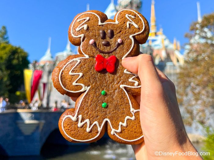 disneyland holiday tour review 2022