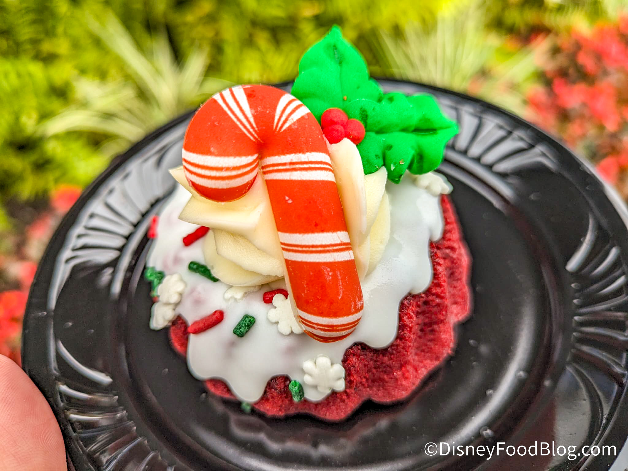 Disney Is Releasing a Candy Cane Starbucks Christmas Cup for 2023 - Let's  Eat Cake