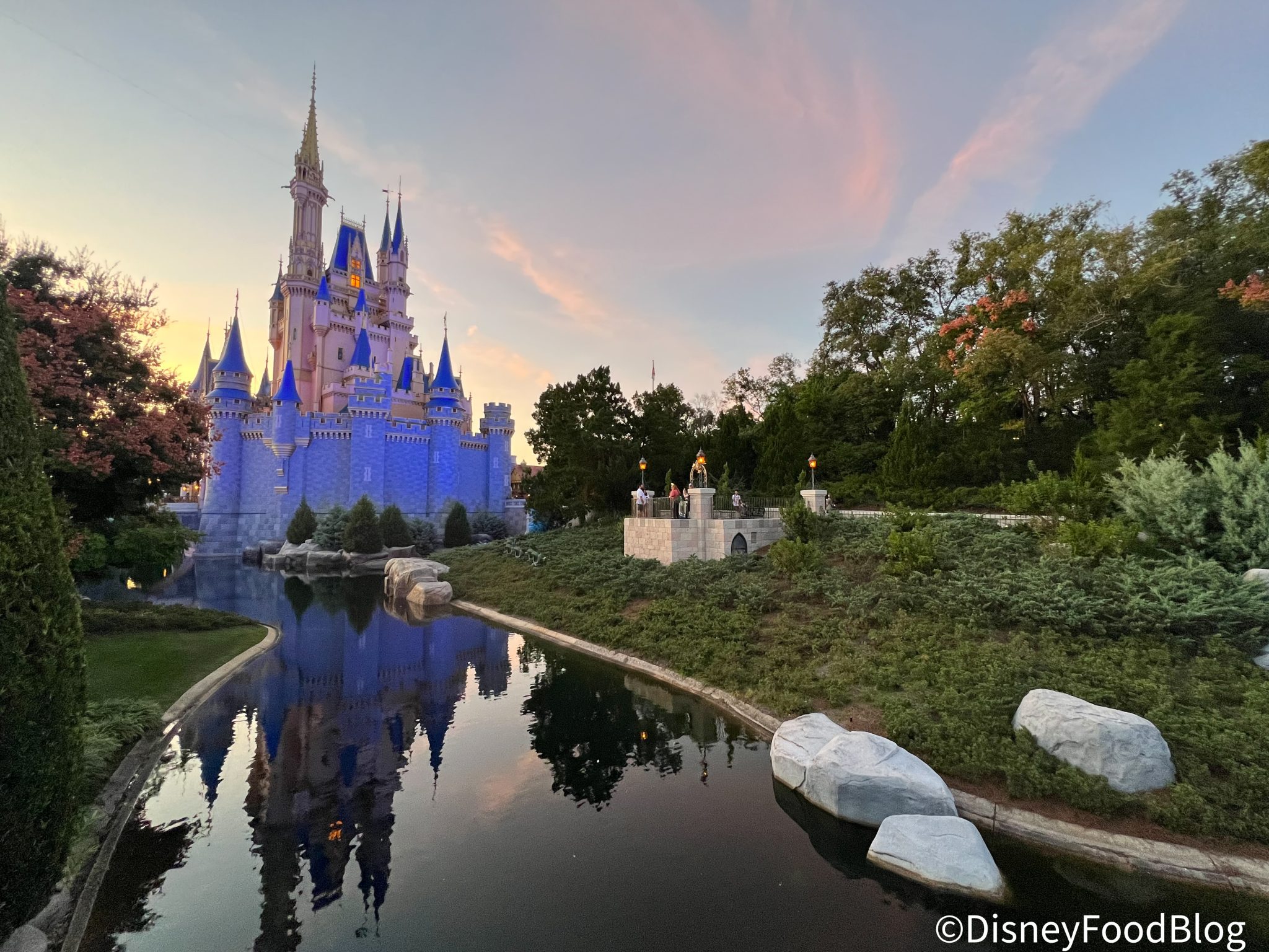 DFB Video: 50 Things You Need to Know Before You Go To Disney World ...