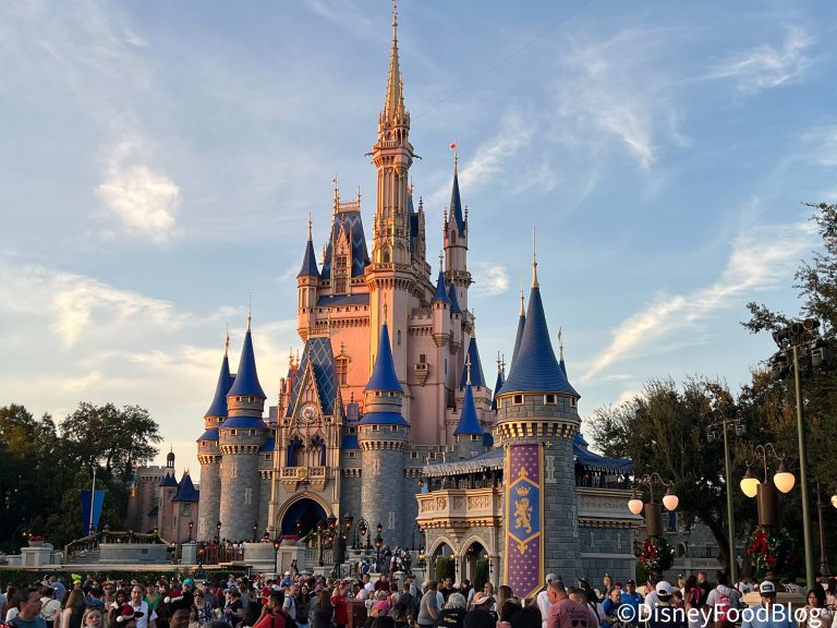 Disney World Announces Virtual Queue CHANGE for 2024 | the disney food blog