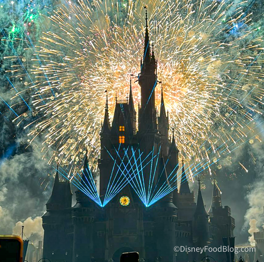 Check Out the New Year's Eve FIREWORKS in Magic Kingdom With Us!