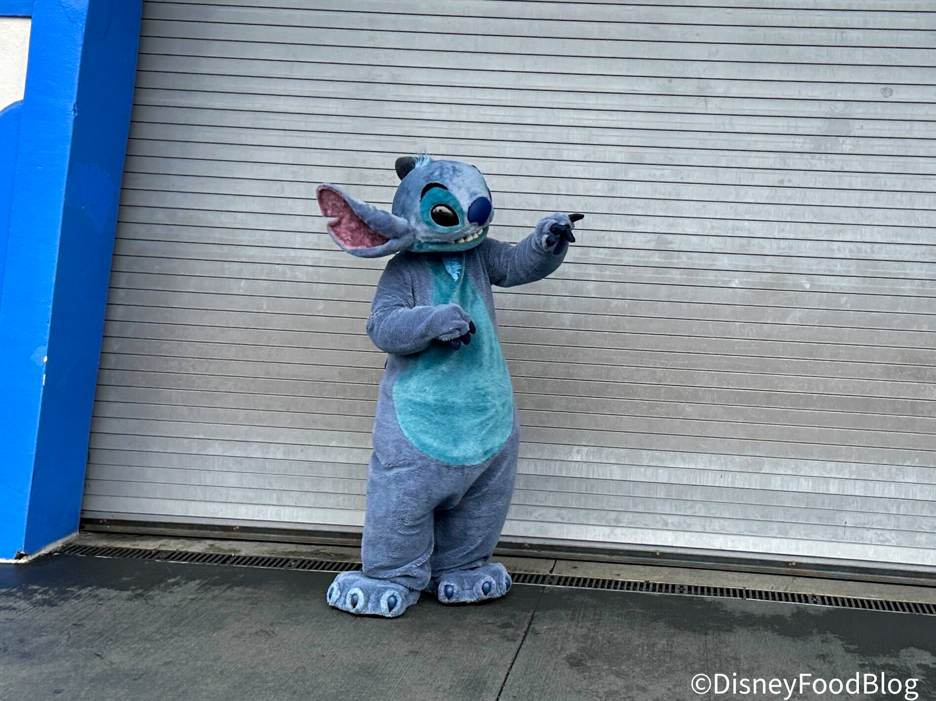 Stitch Attacks Snacks in His Monthly Merchandise Collection