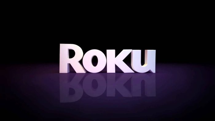 NEWS: Series PICKED UP on Roku Following Cancelation on Disney+ | the ...