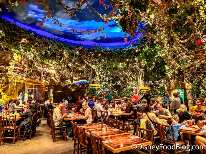 wdw-2023-dak-rainforest-cafe-restaurant-