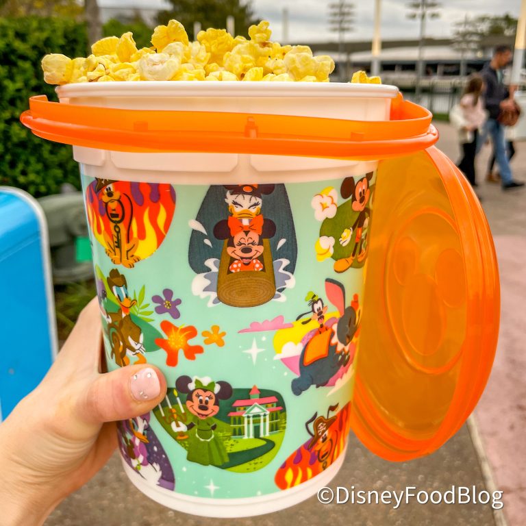 ALERT! There's a NEW Popcorn Bucket in Disney World! the disney food blog