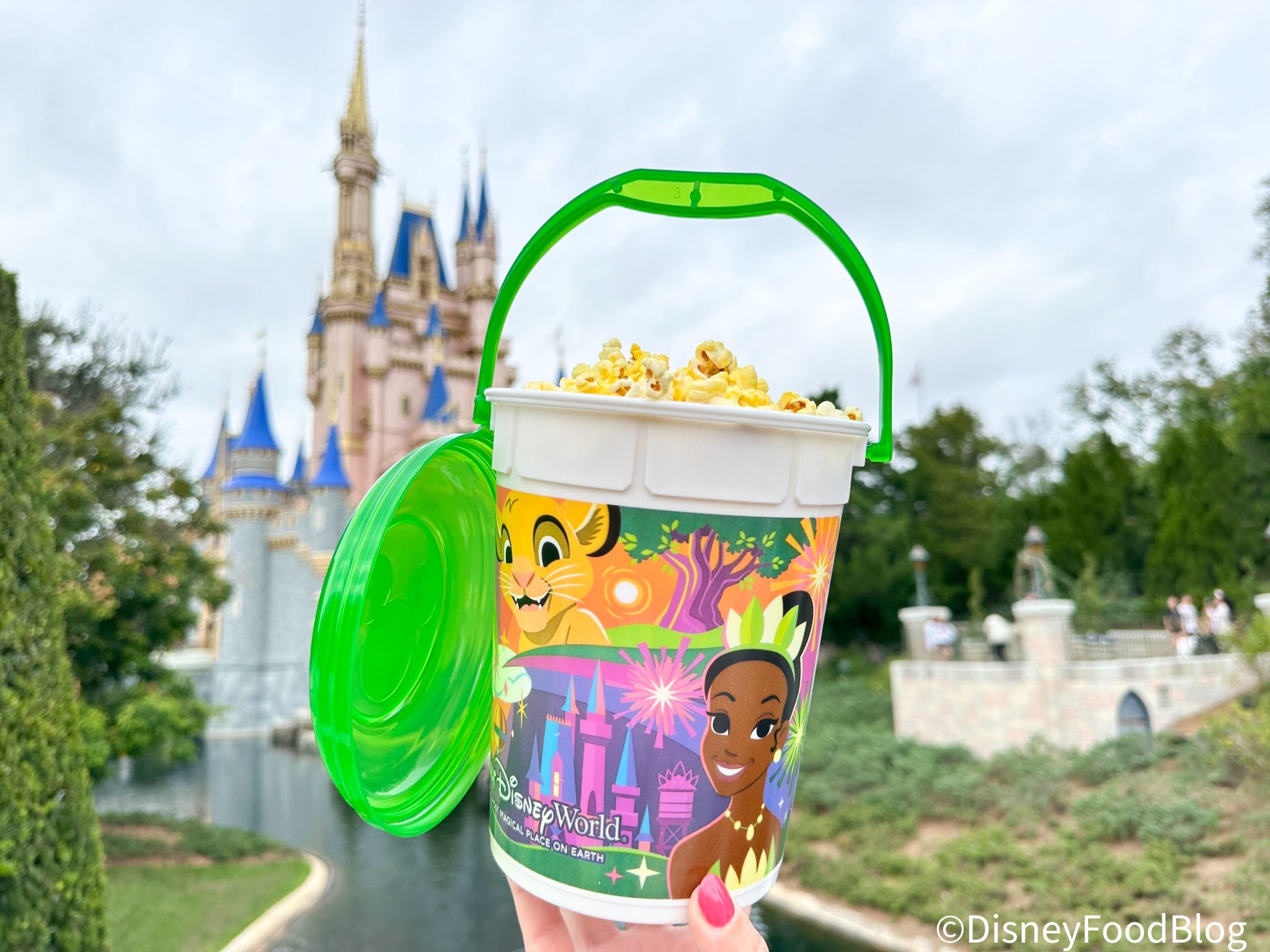 A NEW Disney Popcorn Bucket Is Out NOW! | the disney food blog