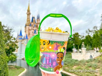 Every Single🍿Popcorn Bucket🍿You Can Get in Disney World Right Now ...