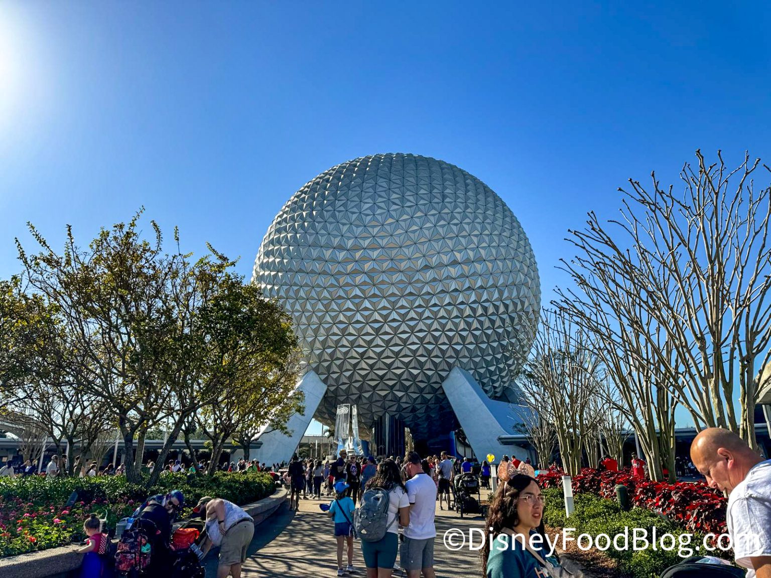 The Latest | the disney food blog