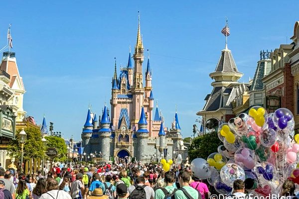 STROLLERS. FULL STOP. and 4 More of the Most CHAOTIC Things We’ve Ever Seen in Disney World
