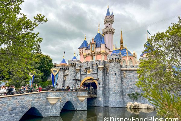 BREAKING: Sales PAUSED for Disney Magic Key Passes