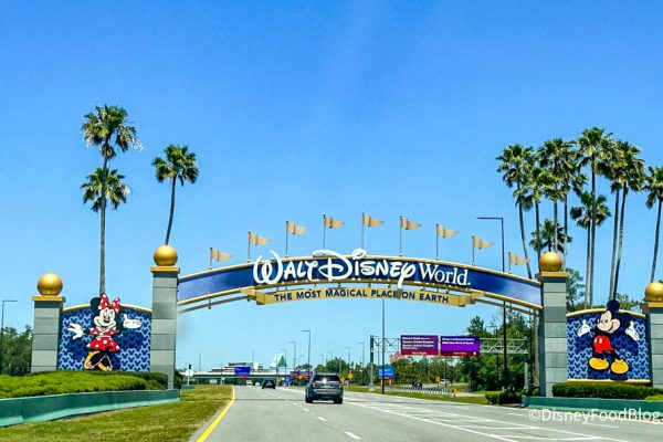 Why 3 Disney World Parks Are Going to Be a Hot Mess in 2025