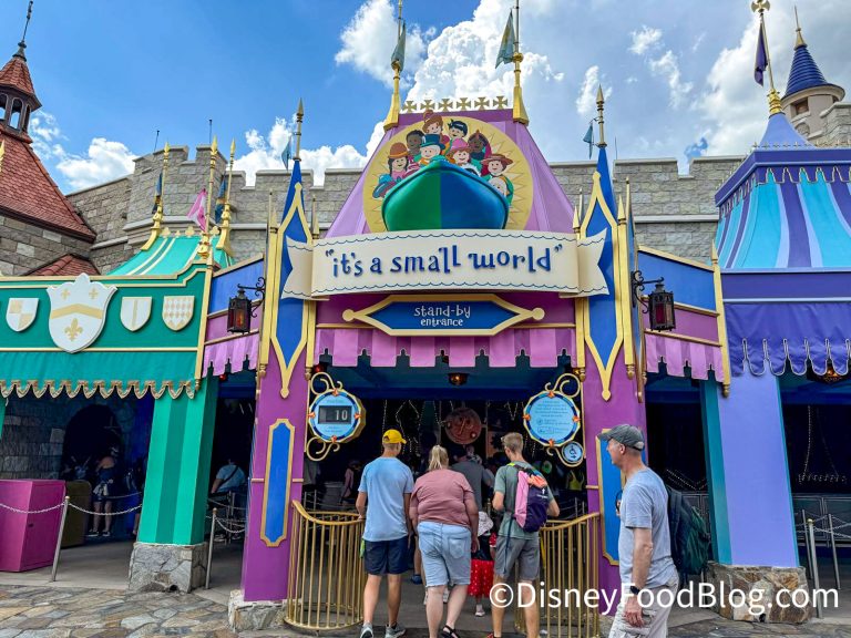 7 BRUTAL REALITIES About Disney World That No One Wants To Tell You ...