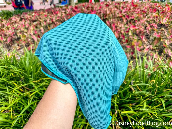 wdw-2024-epcot-cooling-towel-test-affili