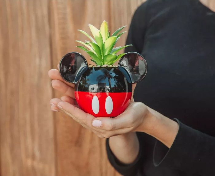 mickey-planter-with-artificial-succulent