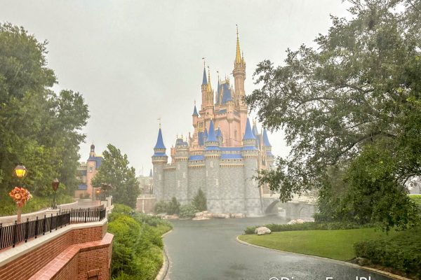 I Spent $12 for One Disney World Essential and Immediately Regretted All My Poncho Complaints