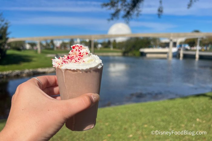 2024-epcot-festival-of-the-holidays-holi