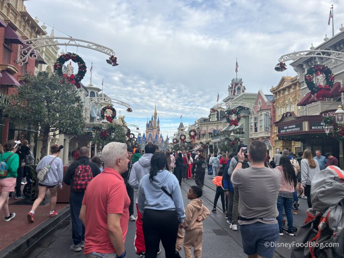 2024-WDW-magic-kingdom-christmas-day-cro