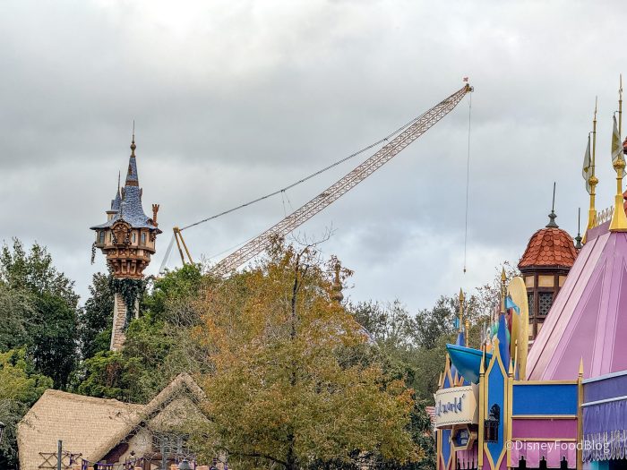 2024-wdw-mk-crane-beyond-big-thunder-mou