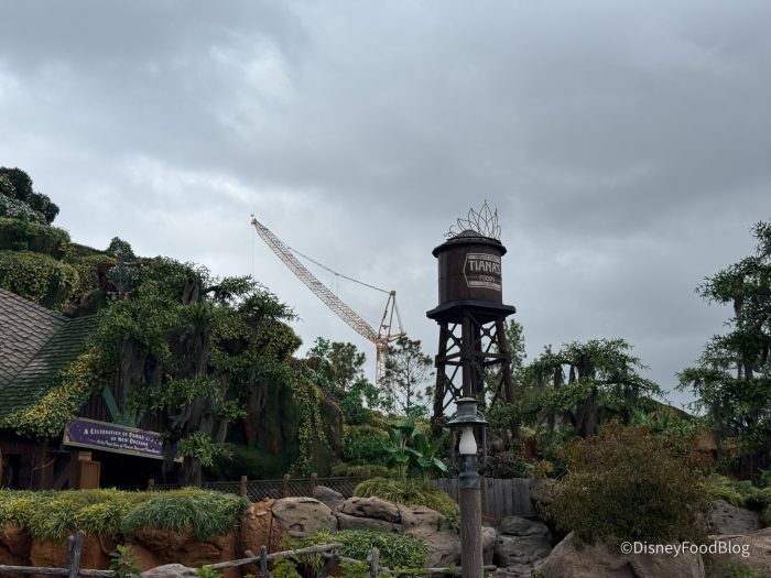 2024-wdw-mk-crane-beyond-big-thunder-mou