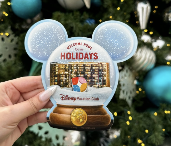 DVC-Magnet--700x597.png