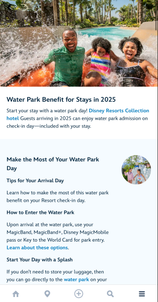 2025-WDW-MDE-Resort-Water-Park-Perk-e173