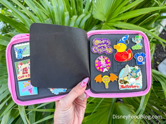 2025-Disney-Souvenir-PinFolio-Mini-Show-