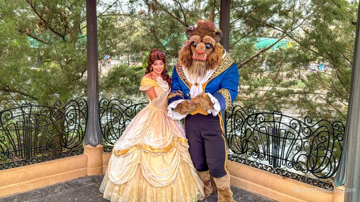 2025-WDW-epcot-belle-and-beast-valentine