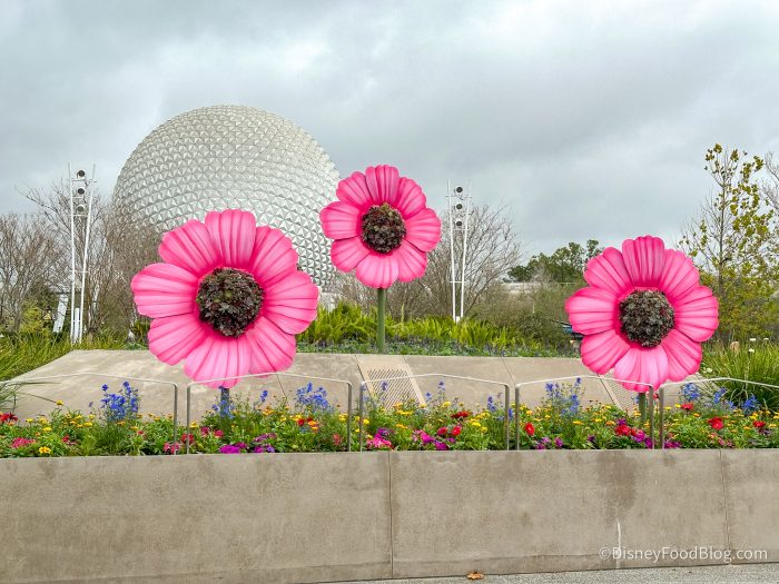 2025-WDW-epcot-flower-and-garden-festiva