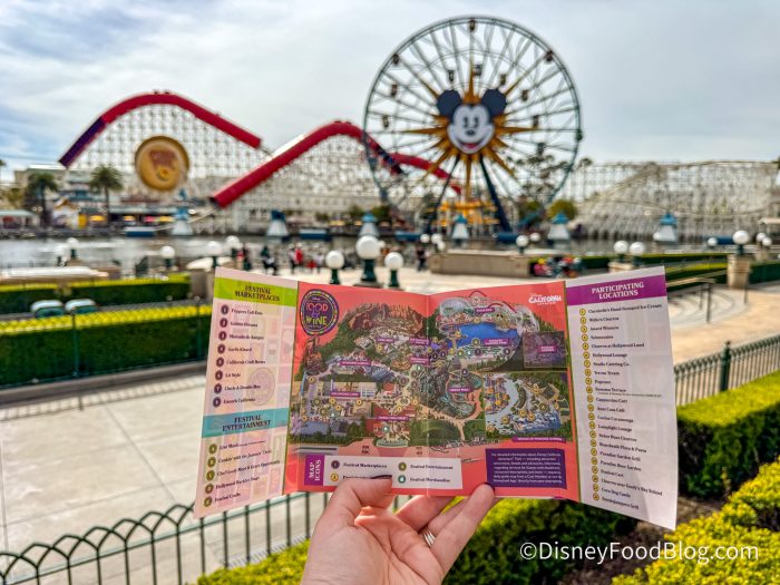 2025-dca-california-adventure-food-and-w